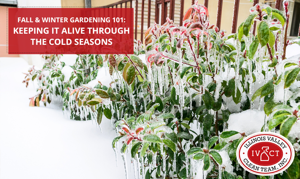 Fall & Winter Gardening 101 Keeping it Alive Through the Cold Seasons - Illinois Valley Clean Team