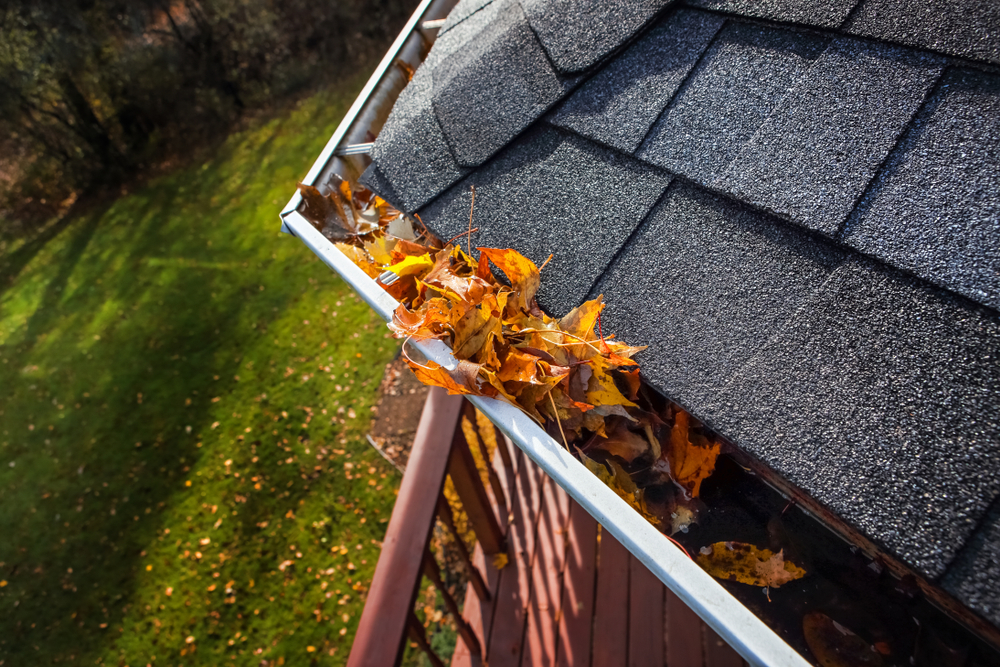 Benefits of Hiring a Professional for Your Gutter Cleaning Illinois